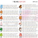 11월 28일 띠별 오늘의 운세 이미지