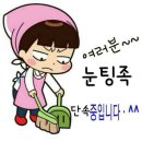 이십구 Daum카페
