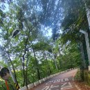 일박이일 이미지