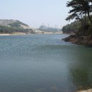 서수제 Daum카페