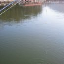 약산낚시터 이미지