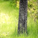 서일어학원 이미지