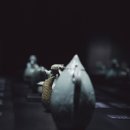 중앙정보기술 | 서울 용산 국립중앙박물관 주말 방문 이용후기 : 관람루트,볼거리,꿀팁공유