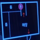 강남대로 163 | [신논현 맛집] 강남 공간분리 청첩장모임 장소? 이젠 우슴에서 하겠어 내돈내산 추천