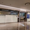 샤니미용실 | 잠실미용실 에코쟈뎅 잠실롯데타워점 복구펌 만족 솔직후기