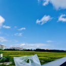 도연약국 이미지