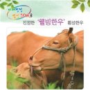 한우 이미지