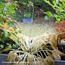 어르신이행복한세상 이미지