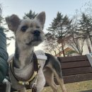 송학상회 - 포항시 북구 | 송학상회