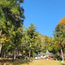 부산어린이대공원 이미지