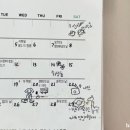 요일디자인웍스