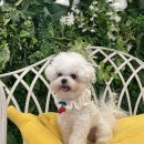 그라운독 이미지