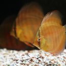 동글동글 이미지