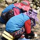 으뜸울금농장 이미지