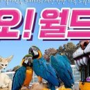 자유공원로 네이버블로그