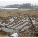 봉소2리 Daum카페