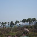 혁신도시축구장 이미지