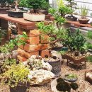 도예기능 이미지