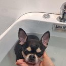 스테이숨 이미지