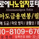 오복광택 이미지