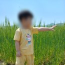 보리어린이집 이미지