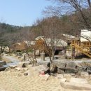 월드니스 이미지