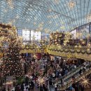 빙그루밍 이미지