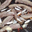 춘천시농업기술센터 이미지