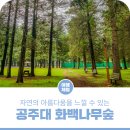 공주대학교(학생생활관비전하우스)