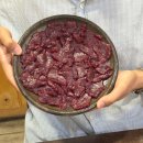 일 생고기.육회 | 대구 뭉티기 맛집 송원생고기육회 내돈내산 방문후기