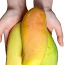 무지개농장1 이미지