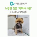 디테일 동물의료센터 이미지