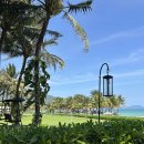 밥&풀 | 나트랑더아남풀빌라 할 것 총정리 가족여행 리얼후기