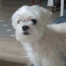 경희마루한의원 이미지