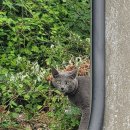 토영이야~길(2코스-미륵도길) | 통영 토영이야~ 길 2코스(미륵도길) 일부구간