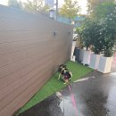 정영호내과의원 이미지