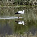 김해화포천습지 생태학습관 이미지