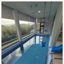 오떼떼 그린 이미지