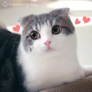데이그루밍 네이버블로그
