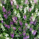 소명 행정사사무소 이미지