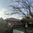 와플군 요거트양 | 기장 브런치 맛집 카페 만달리 파스타 와플 솔직 후기