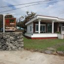 방울풍뎅이 이미지