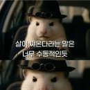 필베이커리 네이버블로그
