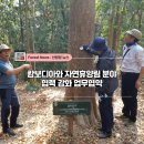 강화자연휴양림 이미지