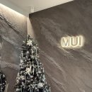 사간의향기 | 삼성역미용실 추천, 무이삼성점 다정디자이너 프리미엄퓨어스파 후기