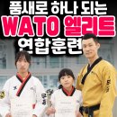 와토 태권도장 이미지