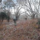 호암산-말전등산-안산-보인산-위산-작은버드랑산-(홀뮈,고래.득소,배병률)-25.12.14.일 이미지