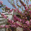 신양 경로당 이미지