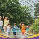 유레카 신나는 과학 즐거운 방학A | 떠나요! 7,8월 충청도 1박2일 가족여행, 아이와 함께 행복 두 배!