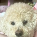 헤어일번가 - 안산시 상록구 부곡로 22 | 헤어일번가